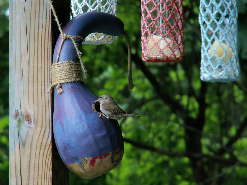 waste collection home